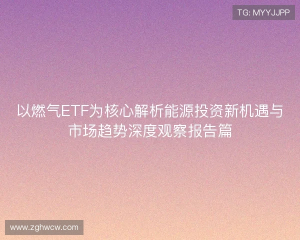 以燃气ETF为核心解析能源投资新机遇与市场趋势深度观察报告篇